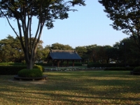 地勢